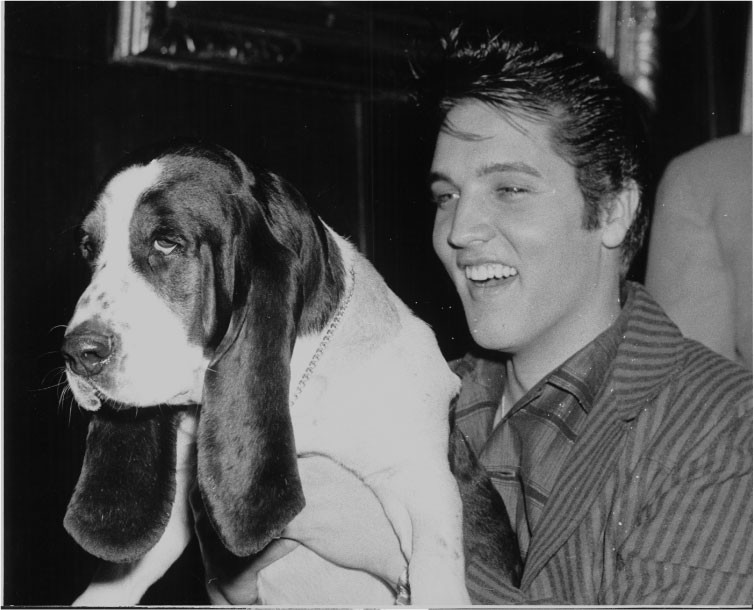 Elvis with hound dog